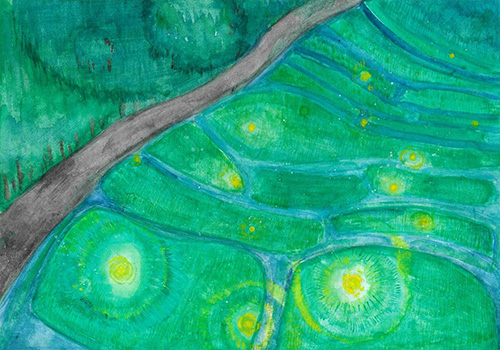 石墨棚田のホタル祭り